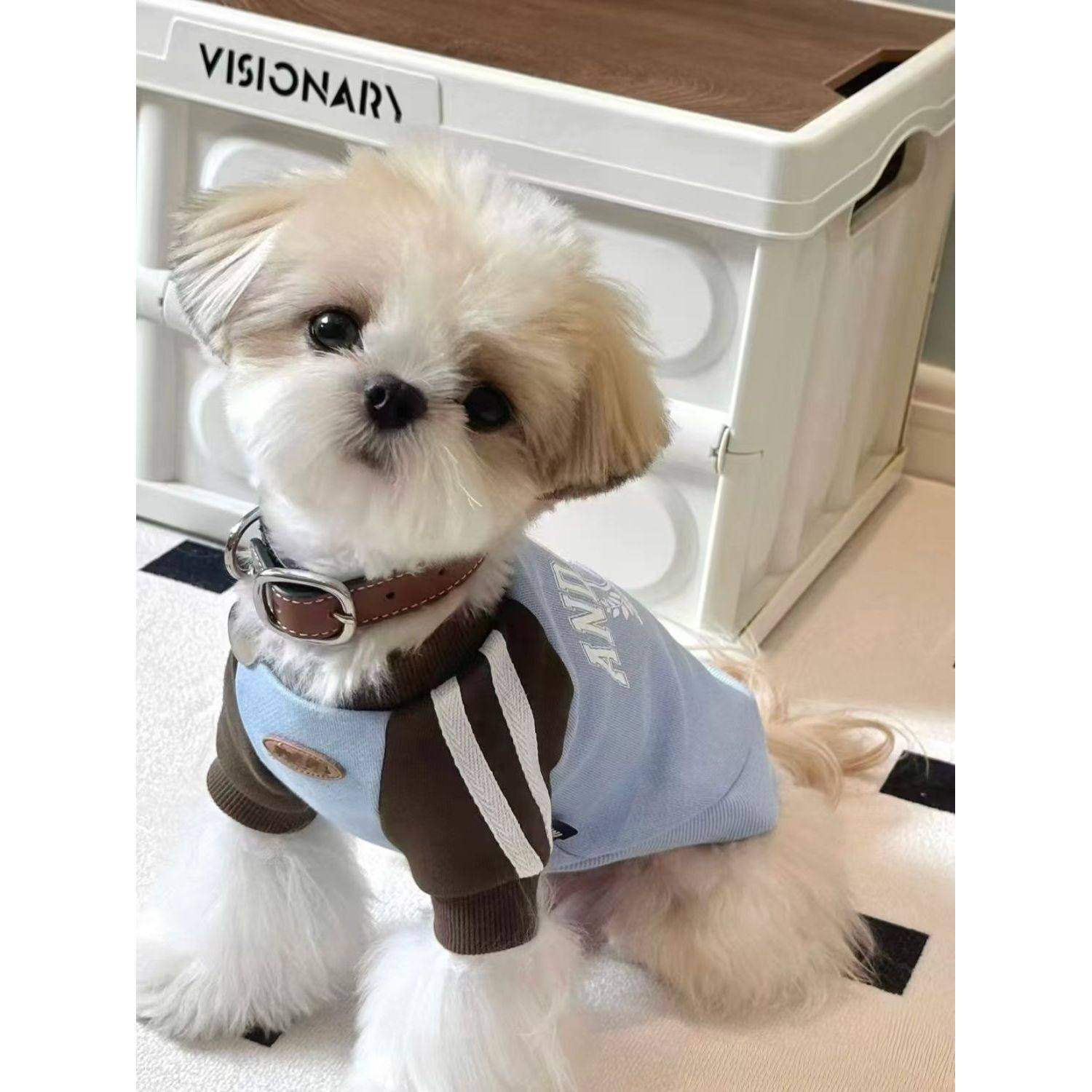 潮牌卫衣秋冬款小狗拼色可爱春秋天韩版超小宠物猫咪网红