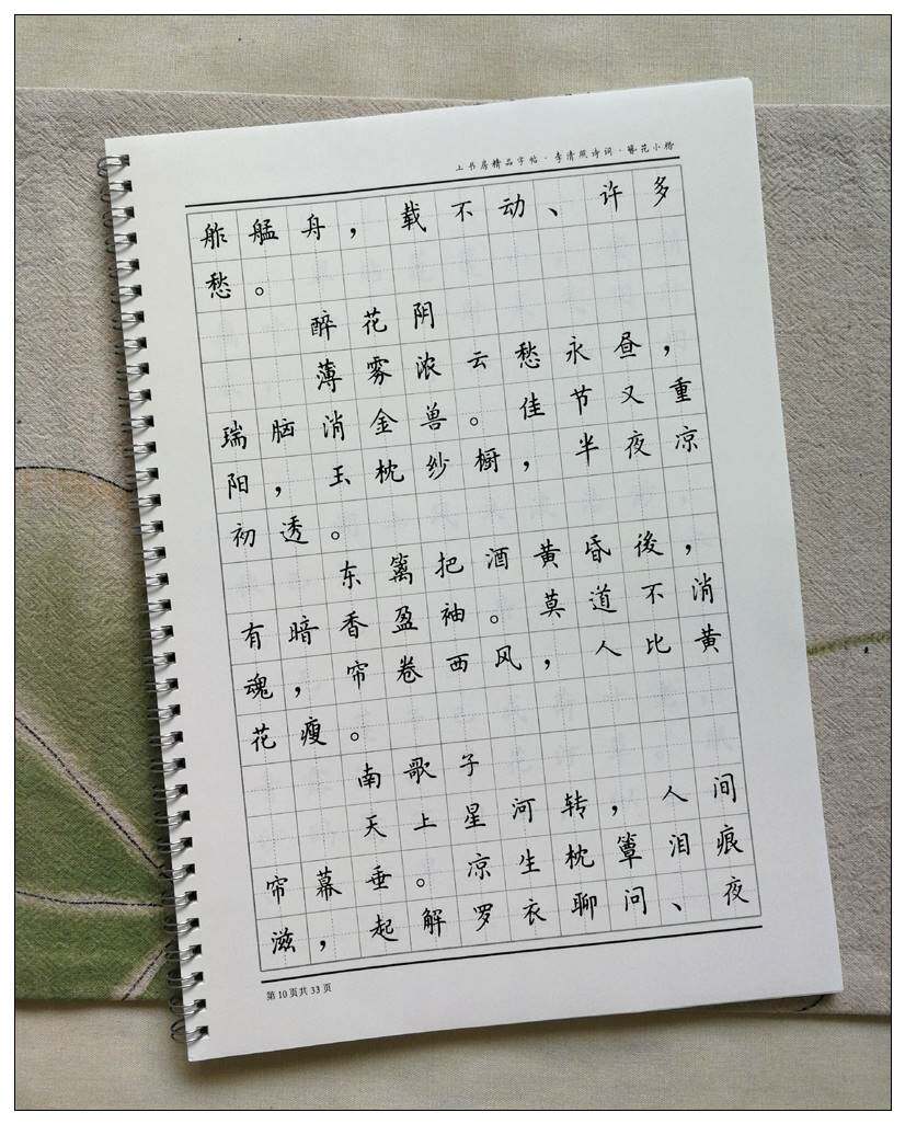 李清照诗词簪花小楷钢笔硬笔字帖漱玉词成人女生临摹手写体套装