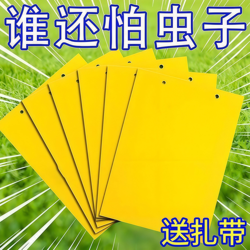 双面粘虫黄板诱虫板柑橘子树瓜果实蝇针蜂粘苍蝇贴粘虫板蓟粘虫板