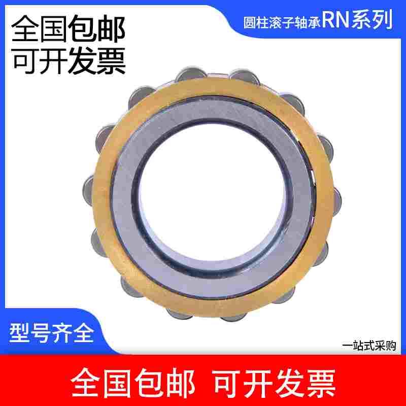 二类圆柱滚子轴承 RN310 RN311 RN312 RN313 RN328