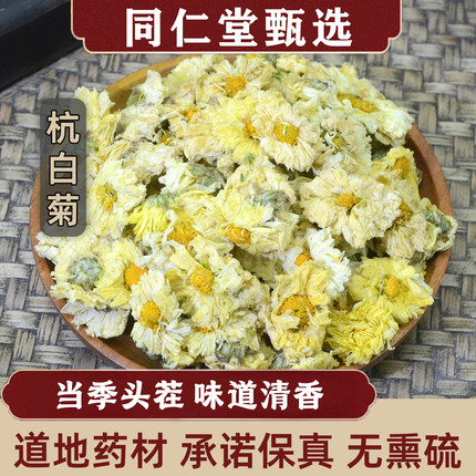同仁堂杭白菊中药材500g特级桐乡菊花茶药用胎菊朵菊枸杞泡水去火
