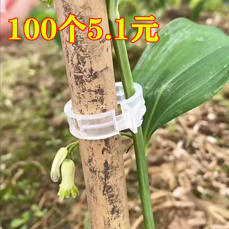 瓜果植物夹塑料绑蔓夹绑枝夹吊蔓夹扶蔓夹西红柿辣椒夹藤蔓固定夹
