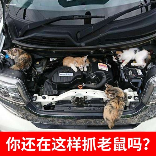 汽车驱鼠器发动机舱仓防老鼠猫神器包车载驱鼠耐高温膏车家用