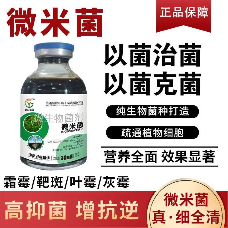 微米菌哈茨木霉菌微生物菌剂强效炭疽灰霉霜霉白粉根腐抗真菌细菌,农用物资,叶面肥,淘宝优惠券,粉丝福利购,淘宝优惠卷