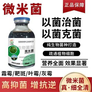 微米菌哈茨木霉菌微生物菌剂强效炭疽灰霉霜霉白粉根腐抗真菌细菌