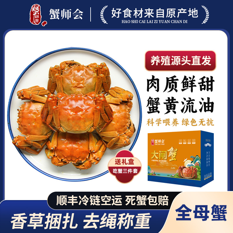 大闸蟹全母3.5两送工具顺丰包邮