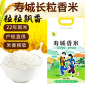 大米新米猫牙米寿城农家大米新米煮饭丝苗米晚稻长粒香米5斤10斤
