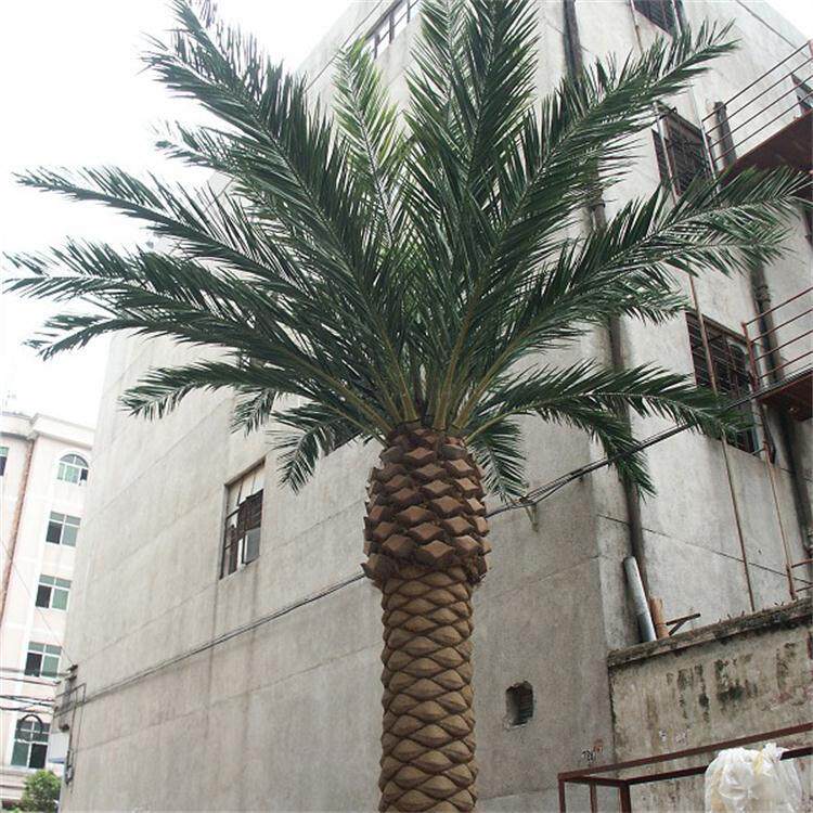 仿真植物厂家直销 人造海藻树 海枣树大量  室内海藻树