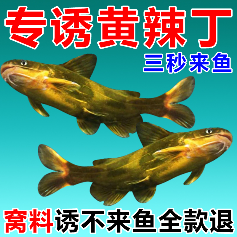 黄辣丁专用打窝料诱不来鱼退全款