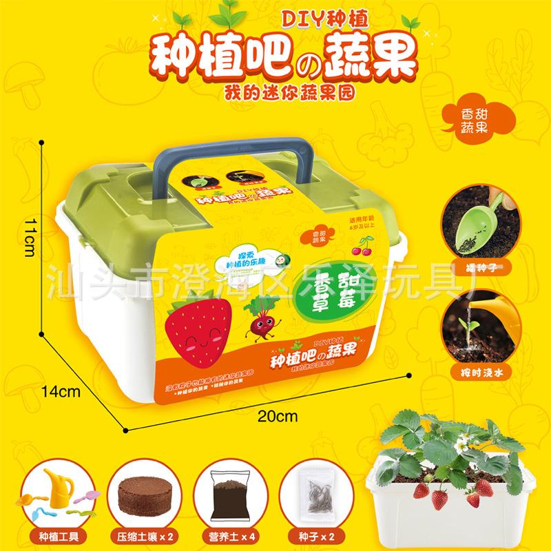 包邮DIY手工绿植套装礼物幼儿园生物教育花卉种子儿童种植小盆栽