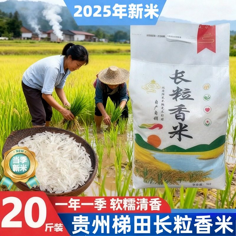 大米2025新米贵州梯田猫牙米长粒香米10斤装官方旗舰店一级丝苗米,粮油调味/速食/干货/烘焙,大米,淘宝优惠券,粉丝福利购,淘宝优惠卷
