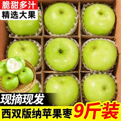 正宗新鲜云南西双版纳苹果枣