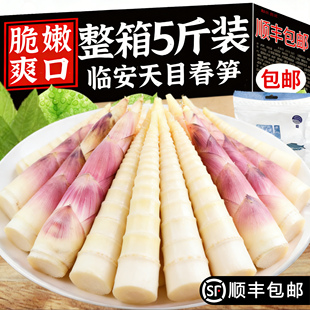 临安春笋新鲜现挖雷笋嫩芽竹笋子正宗浙江天目山冬笋野生农家鲜笋