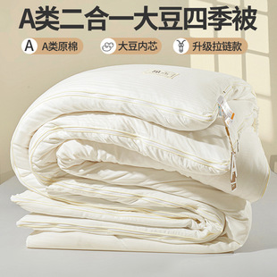 A类全棉提花大豆纤维被 子母被 四季适用加厚
