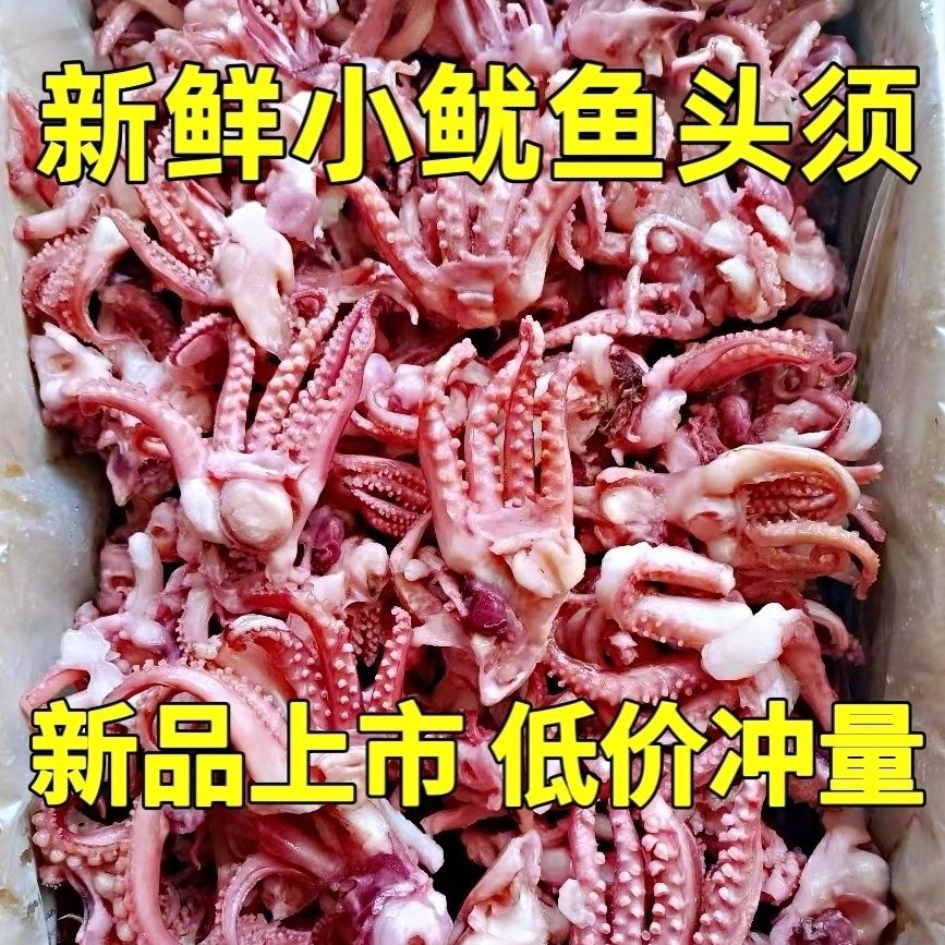 小鱿鱼头须新鲜冷冻鱿鱼头小八爪须鱿鱼爪鱿鱼须烧烤炒菜火锅食材
