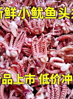 小鱿鱼须冷冻鱿鱼头鱿鱼爪八爪须