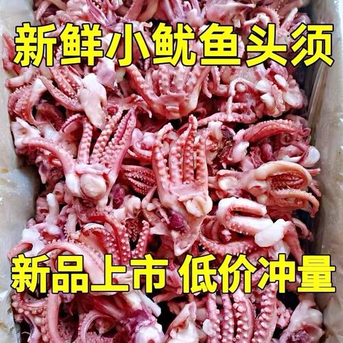 小鱿鱼须冷冻鱿鱼头鱿鱼爪八爪须