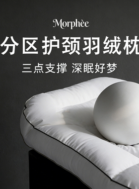 德国羽绒枕头护颈椎助睡眠成人颈椎专用枕95白鹅绒分区释压护颈枕