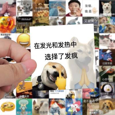 80张精神状态表情包贴纸沙雕搞笑发疯文学个性创意装饰手账贴纸