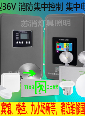 A型24v36v泽上电子乐工光电集中电源箱集中控制箱左向消防应急灯