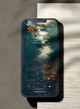 「林间小路」 Wallpaper station苹果手机壁纸墙纸影壁纸（1张）