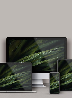 「譬如朝露」Wallpaper station  ipad/电脑/手机 桌面壁纸 (3张)