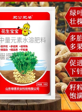 肥公肥婆花生宝宝花生膨大粒粒饱满颗粒饱满提高产量叶面肥厂家