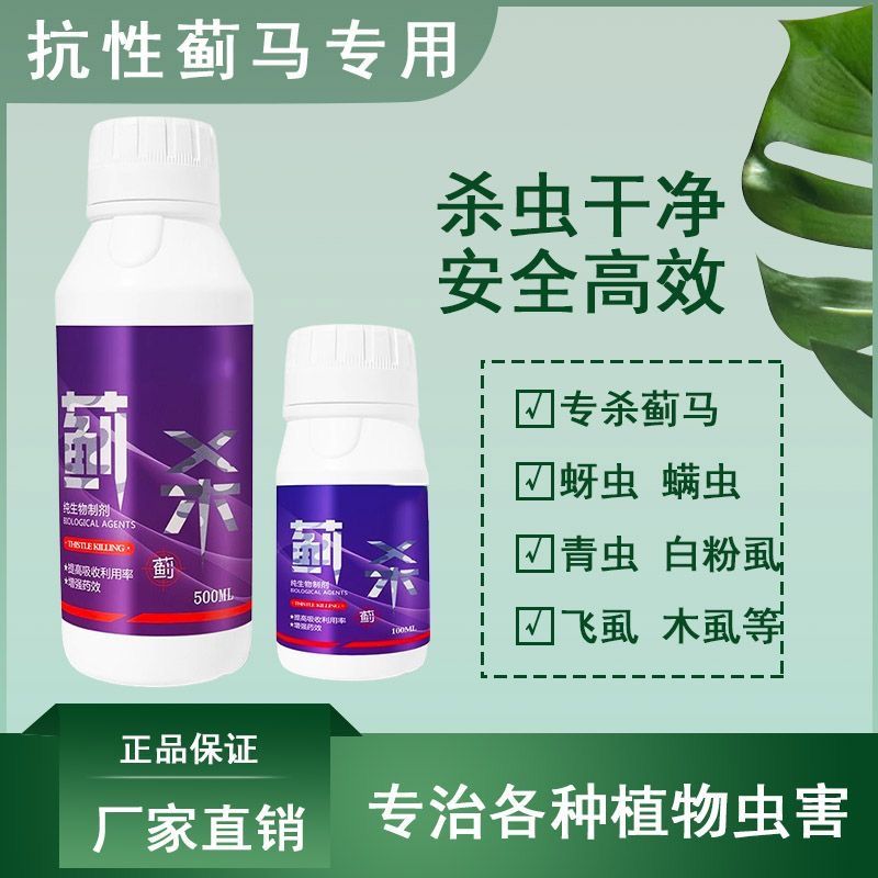 康姆莱蓟杀蓟马青虫蚜虫白粉虱螨虫番茄黄瓜果树正品专用生物制剂