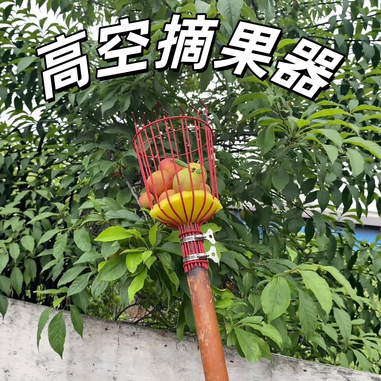 摘水果神器高空摘果器杨梅枇杷采摘工具果园摘苹果橙子无花果爪子