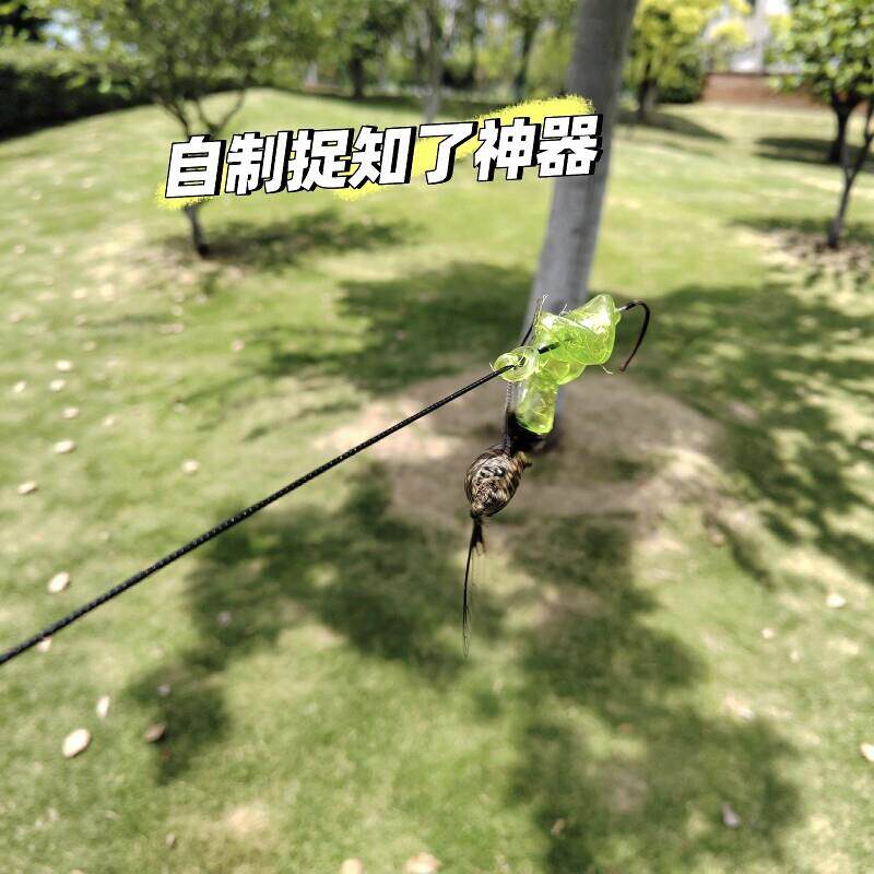 抓知瞭神器夏季创意黏黏手掌轻松捕蝉工具儿童户外休闲娱乐小玩具