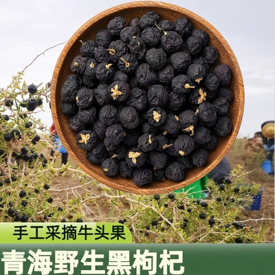 青海特级头茬野生黑枸杞诺木洪柴达木特优大果正品500g1斤非宁夏