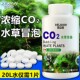 鱼缸二氧化碳缓释片爆藻黄叶水草缸专用co2泡腾片co2发生器替换片