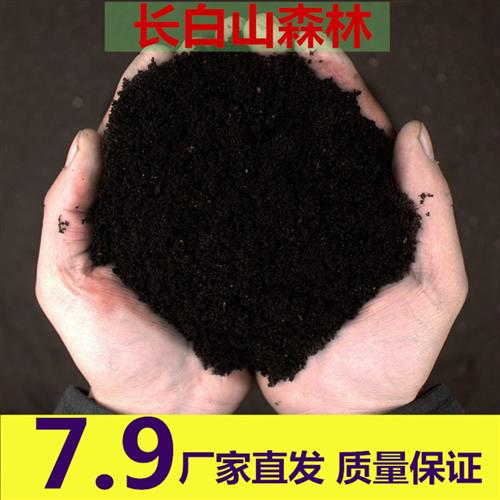 黑土种植土腐殖土草炭土营养有机土多肉土泥炭土种菜泥土肥料花土