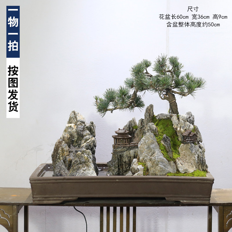 五针松盆景植物老桩室内山水假山摆件客厅办公室前台大型绿植盆栽