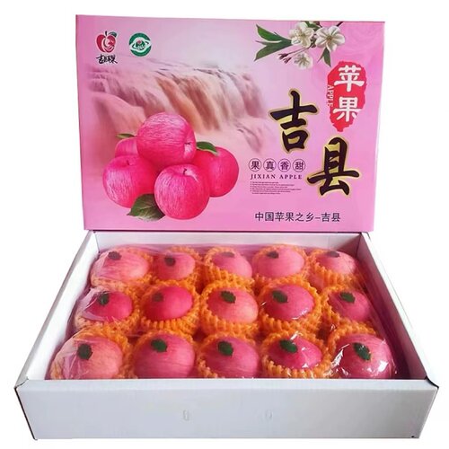 吉县苹果脆甜壶口红富士