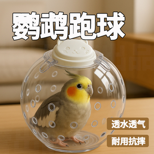 居里喵鹦鹉跑球玩具解闷自嗨虎皮牡丹耐啃咬跑轮小鸟益智解压用品