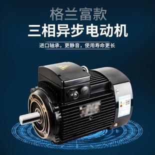 南方泵业同款 格兰富水泵电机 水泵电机YE3水泵电机多级泵电机