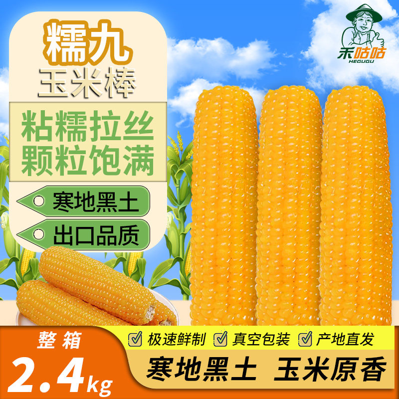 禾咕咕寒地黑土冰泉糯玉米真空