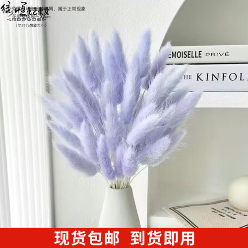 兔尾草永生花干花花束ins假花装饰摆件风干天然狗尾巴草客厅摆设