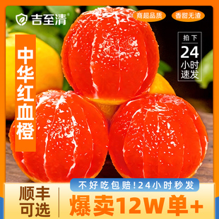 秭归血橙中华红橙新鲜橙子水果当季整箱红心甜橙冰糖果冻手剥9斤