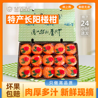 宜昌长阳清江椪柑岩松坪椪柑礼盒桔子芦柑蜜桔橘子新鲜当季水果