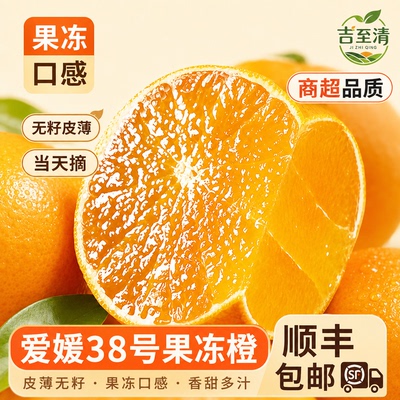 爱媛38号果冻橙5斤一口爆汁