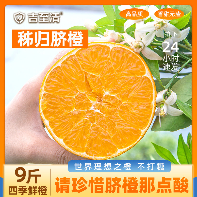 湖北秭归脐橙新鲜橙子10大果当季新鲜橙子榨汁专用甜橙官方旗舰店,水产肉类/新鲜蔬果/熟食,橙,淘宝优惠券,粉丝福利购,淘宝优惠卷