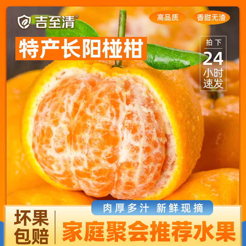 宜昌长阳椪柑新鲜橘子孕妇水果薄皮蜜柑芦柑桔子湖北宜昌特产9斤