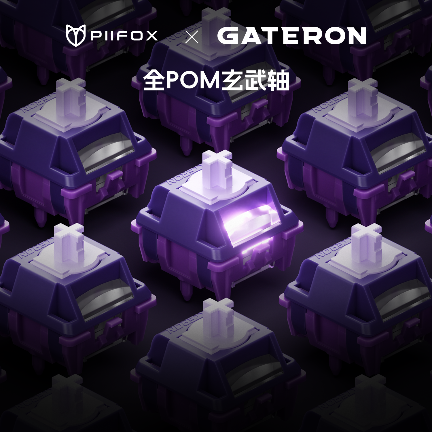 佳达隆联名玄武轴磁轴全POM