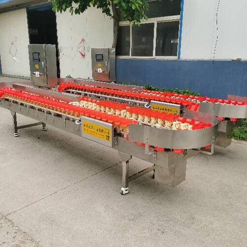 热销多称鸡爪重量分级别机 鸡翅重量分选机 整鸡重量分级机