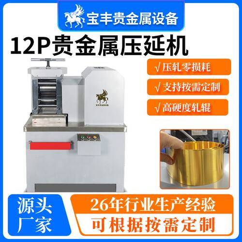 12P压片机 精密镜面压延 金银铜铂贵金属实验室专用小型冷轧机
