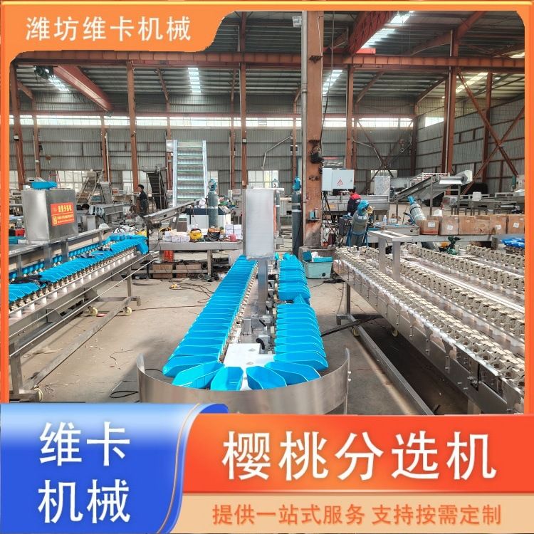 草莓柿子多级称重选果机 橘子等级重量分级机