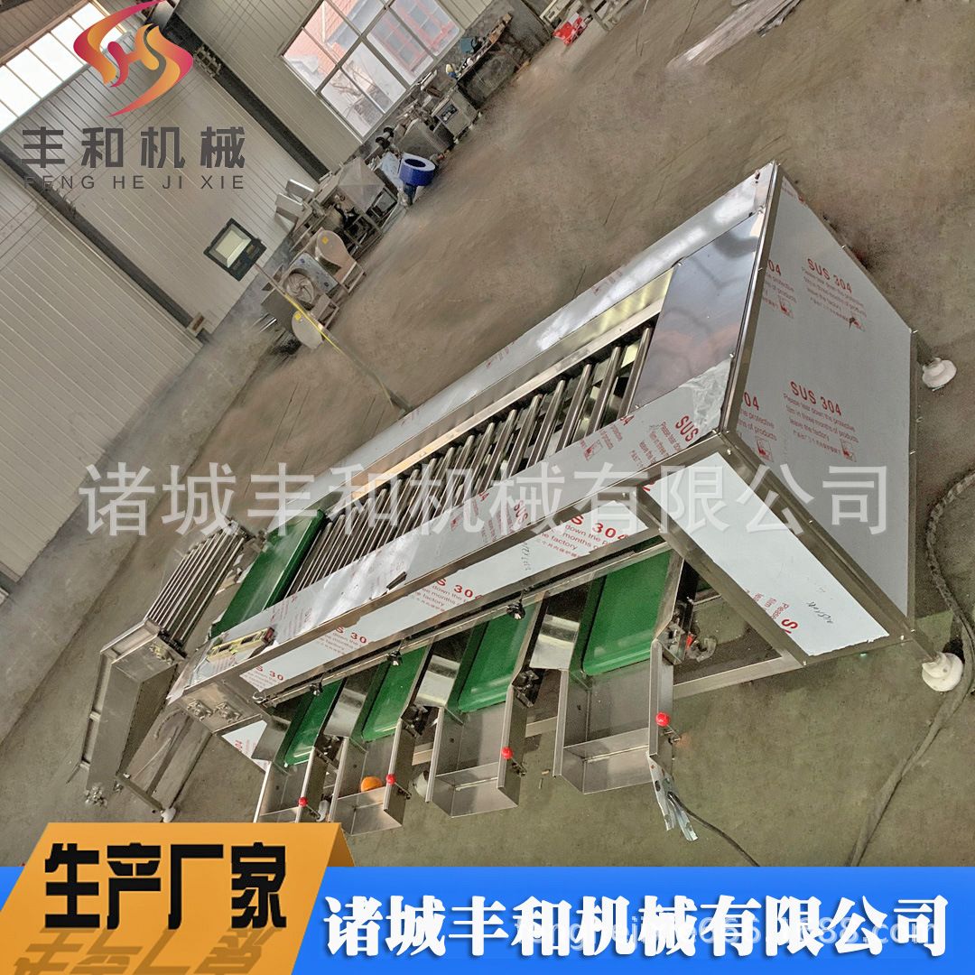 水果分级机 不锈钢分选设备厂家 冰糖橙分级机 西柚贡桔分级机