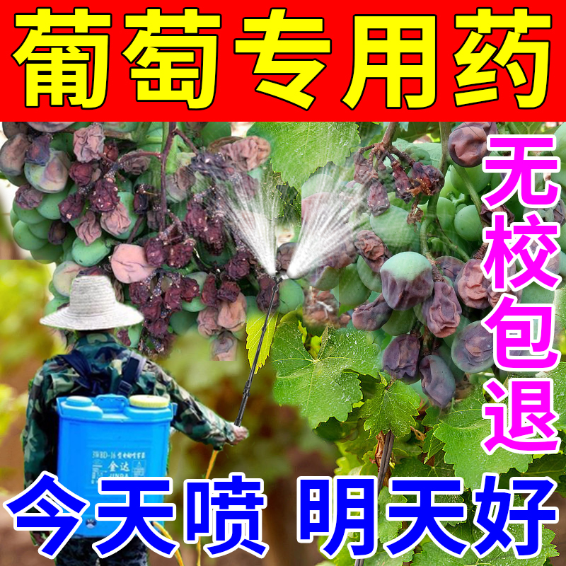 葡萄树专用药全年无病